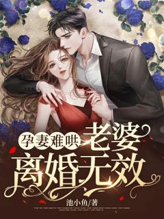 孕妻难哄：老婆，离婚无效！