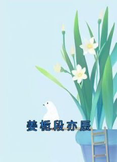 姜栀段亦辰