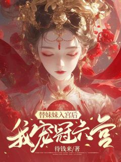 替妹妹入宫后，我宠冠六宫